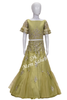 Kids Ghagra Choli Pista Green Nett Party wear with bell Sleeves